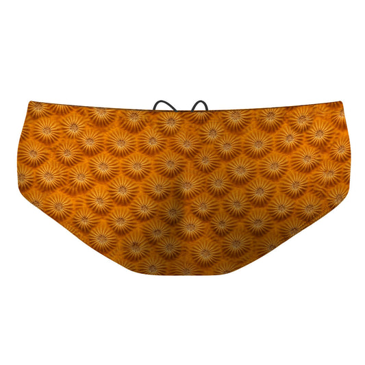 Coral Close - Classic Brief Swimsuit