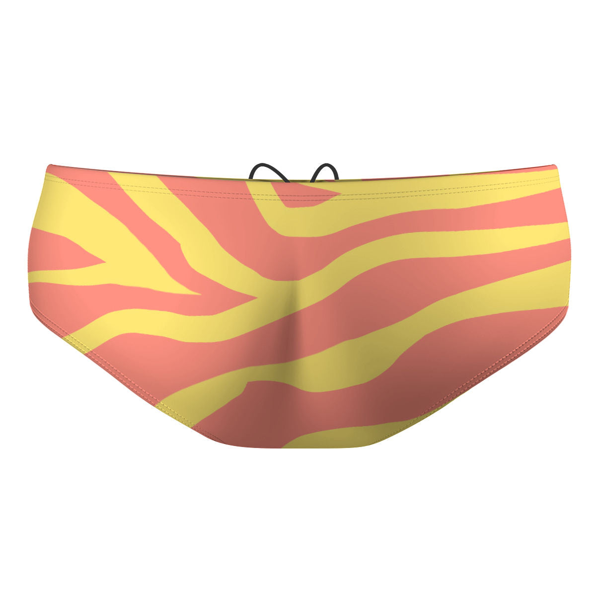 SunZebra - Classic Brief Swimsuit