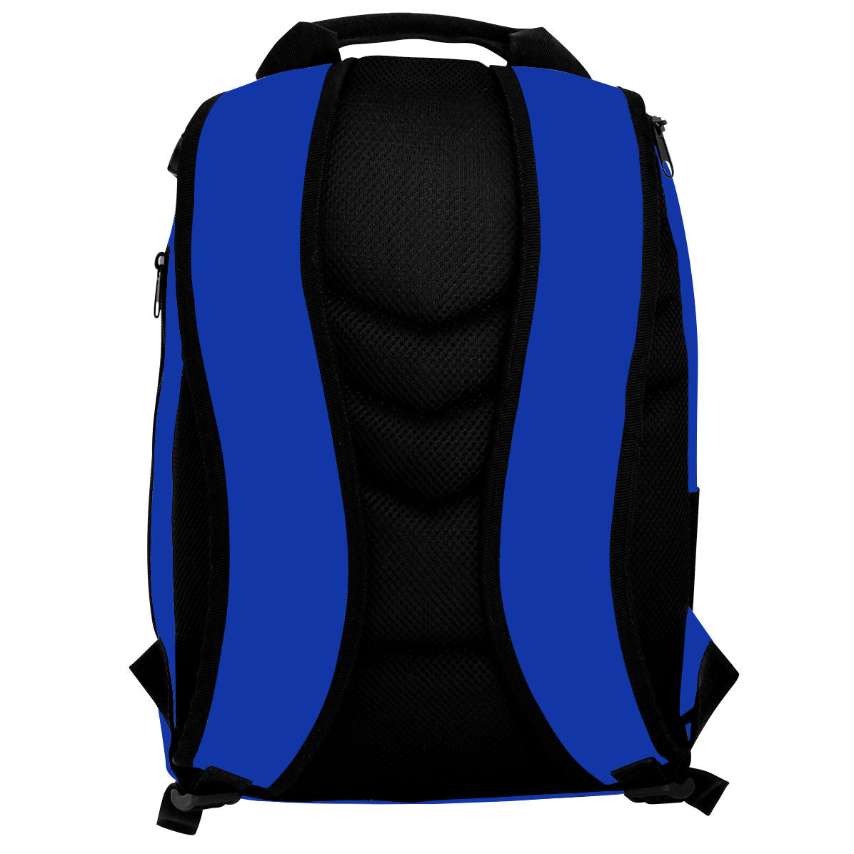 Whale Tail Borealis Back Pack