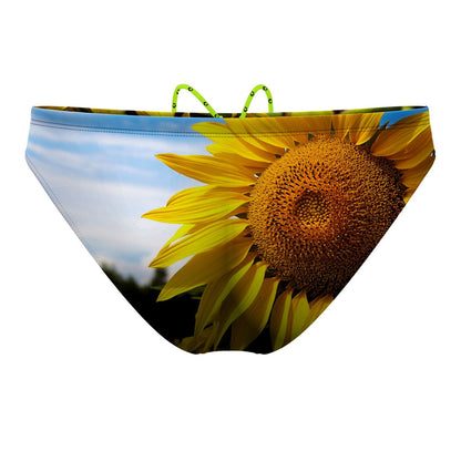 Sunflower Waterpolo Brief